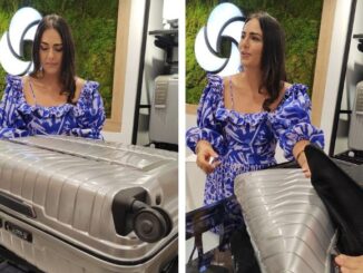 Viajeros buscan en sus maletas la compañera perfecta
