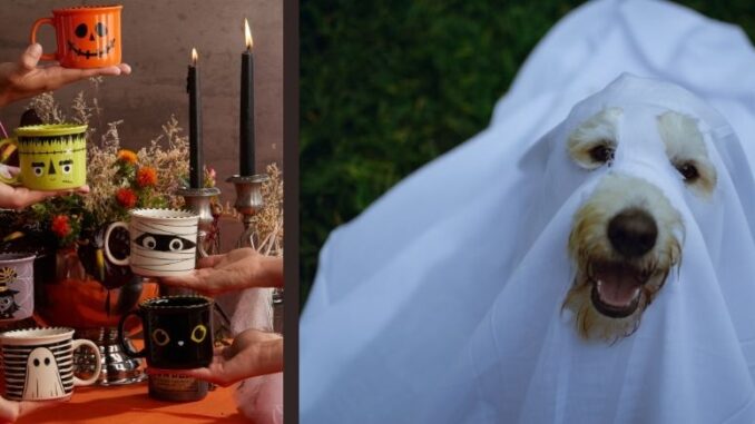 Terror con estilo: tres tendencias en Halloween 2025