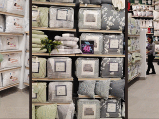 Brissa: dos nuevas tiendas de descanso y diseño llegaron a Cali