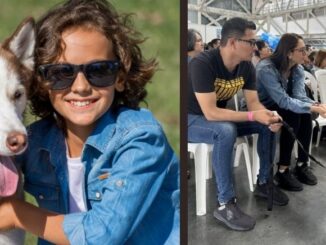 Famy Fest Pets: diversión y aprendizaje animal