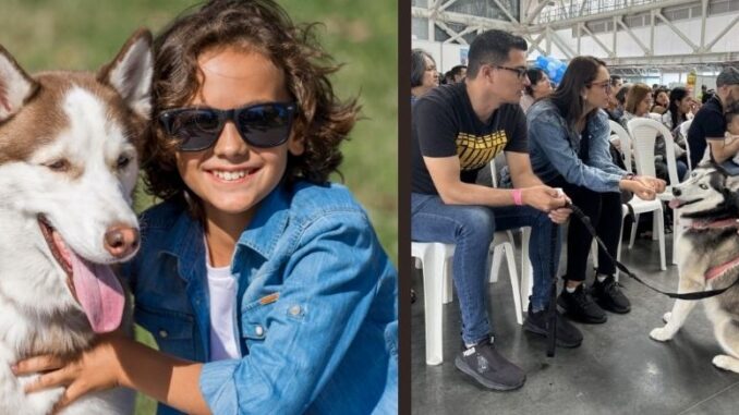 Famy Fest Pets: diversión y aprendizaje animal