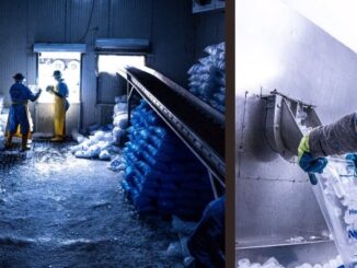 Kolbitos: hielo que seduce en las celebraciones