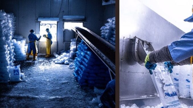 Kolbitos: hielo que seduce en las celebraciones