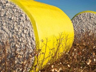 Cotton USA revela sus cartas en Colombiatex