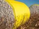 Cotton USA revela sus cartas en Colombiatex