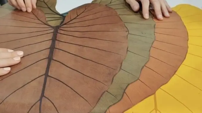 Cuero vegano: el material que sorprendió en Colombiatex