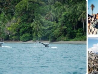 La naturaleza lidera viajes en 2026, Colombia en sintonía