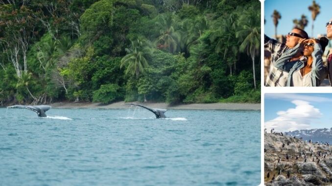 La naturaleza lidera viajes en 2026, Colombia en sintonía