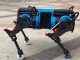 TUM, robot inspirado en oso andino impulsa educación tecnológica