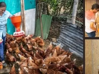 Programa Yarú: rompe ciclos y crea futuro