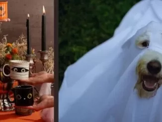 Terror con estilo: tres tendencias en Halloween 2025