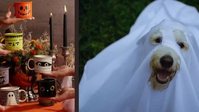 Terror con estilo: tres tendencias en Halloween 2025 Terror con estilo: tres tendencias en Halloween 2025