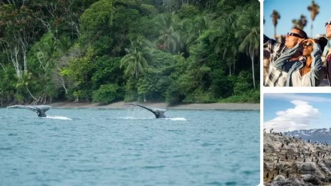 La naturaleza lidera viajes en 2026, Colombia en sintonía La naturaleza lidera viajes en 2026, Colombia en sintonía