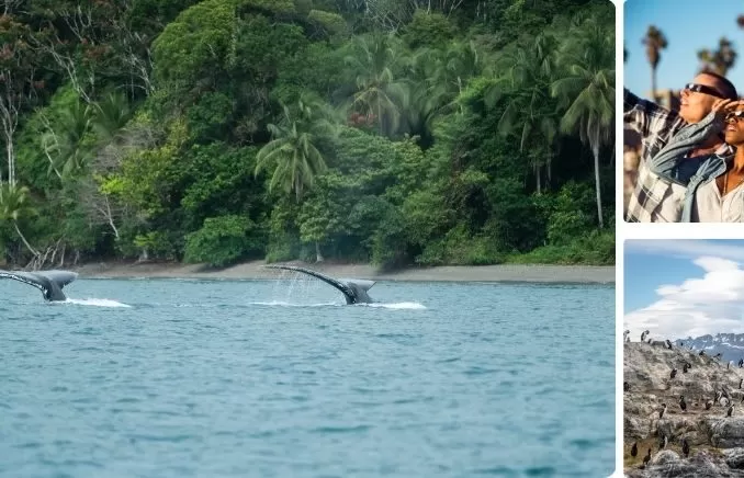 La naturaleza lidera viajes en 2026, Colombia en sintonía